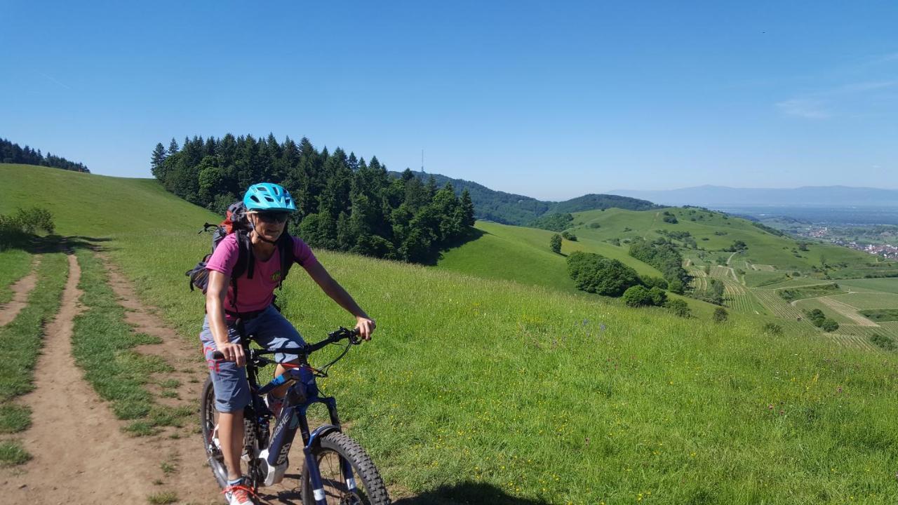 Gaestehaus Casa Luna - Paradiesische Ferienwohnungen Am Kaiserstuhl! Bischoffingen Экстерьер фото
