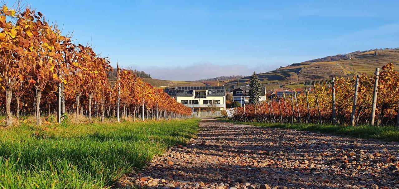 Gaestehaus Casa Luna - Paradiesische Ferienwohnungen Am Kaiserstuhl! Bischoffingen Экстерьер фото