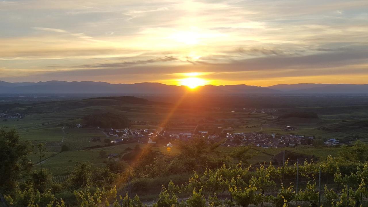 Gaestehaus Casa Luna - Paradiesische Ferienwohnungen Am Kaiserstuhl! Bischoffingen Экстерьер фото