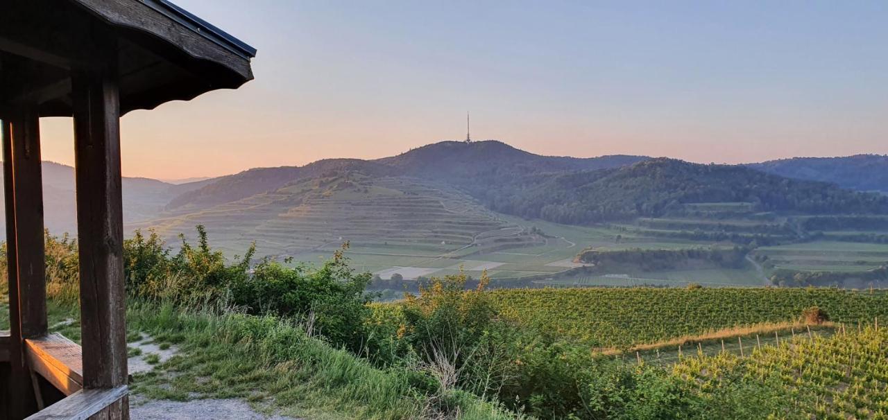 Gaestehaus Casa Luna - Paradiesische Ferienwohnungen Am Kaiserstuhl! Bischoffingen Экстерьер фото